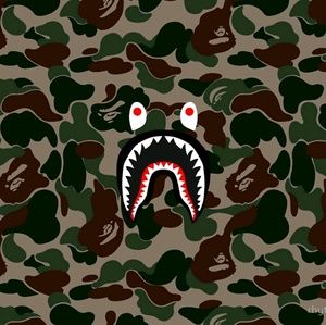 Meet your Posher, Shon